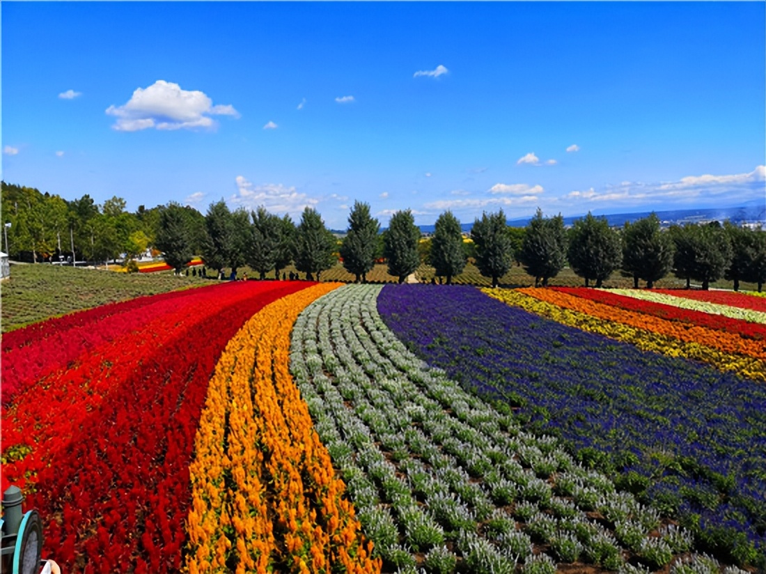 最新日本旅游团,日本旅游团夏季
