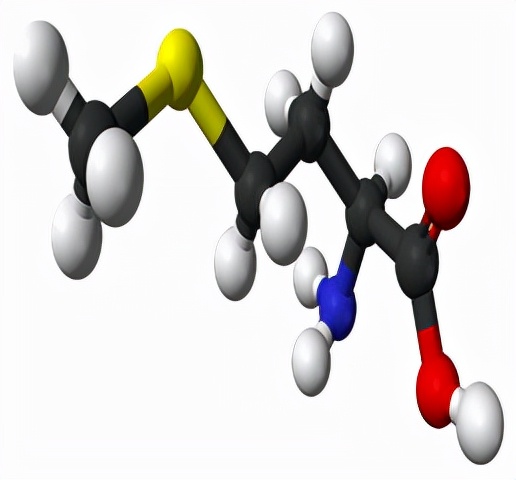 蛋氨酸值,蛋氨酸值50正常吗