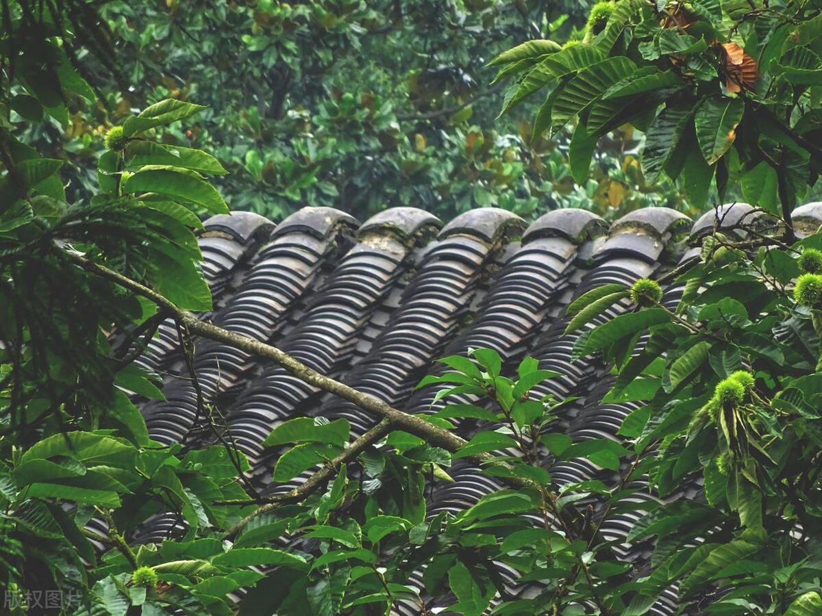 苏州这座城市怎么样,苏州最值得去哪个区