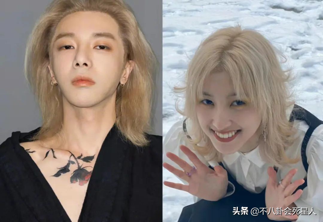 明星隐瞒真实学历被揭穿事件,明星被爆学历造假