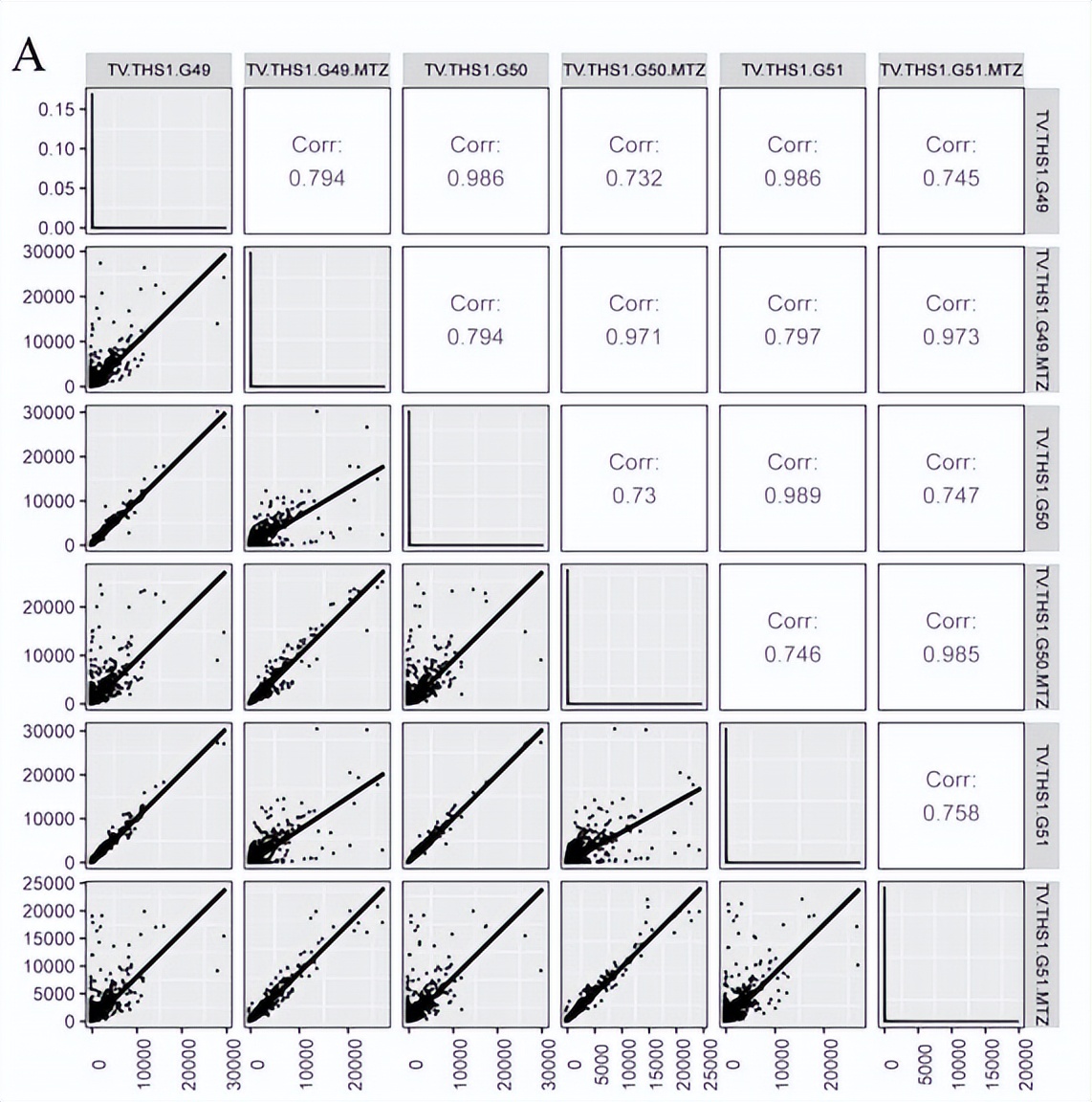 毛滴虫性妇科炎症甲硝唑,治毛滴虫用甲硝唑好还是替硝唑好