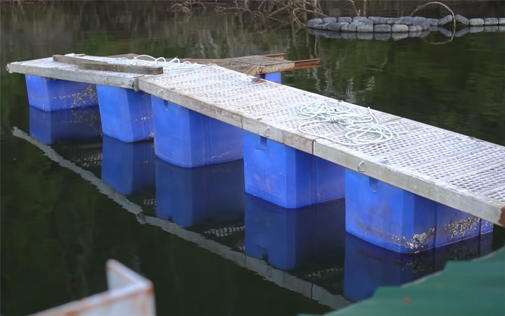 夫妻二人买下海岛过起隐居的生活,夫妻隐居小岛与世隔绝