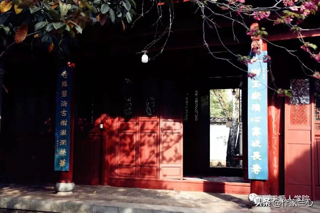 万一龙：以高维智慧，布世间大爱