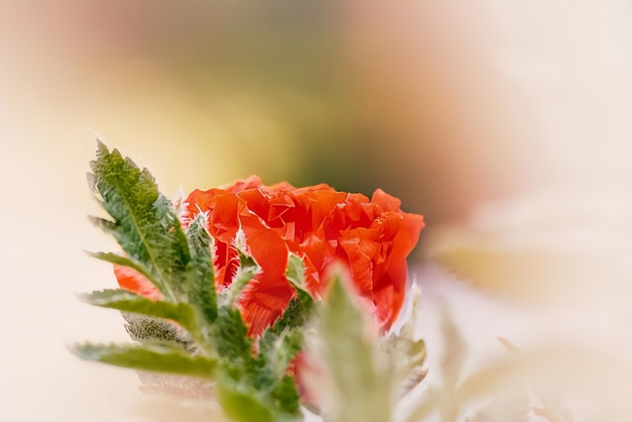 微信朋友不想联系了怎么处理,不想联系的人就算了吧