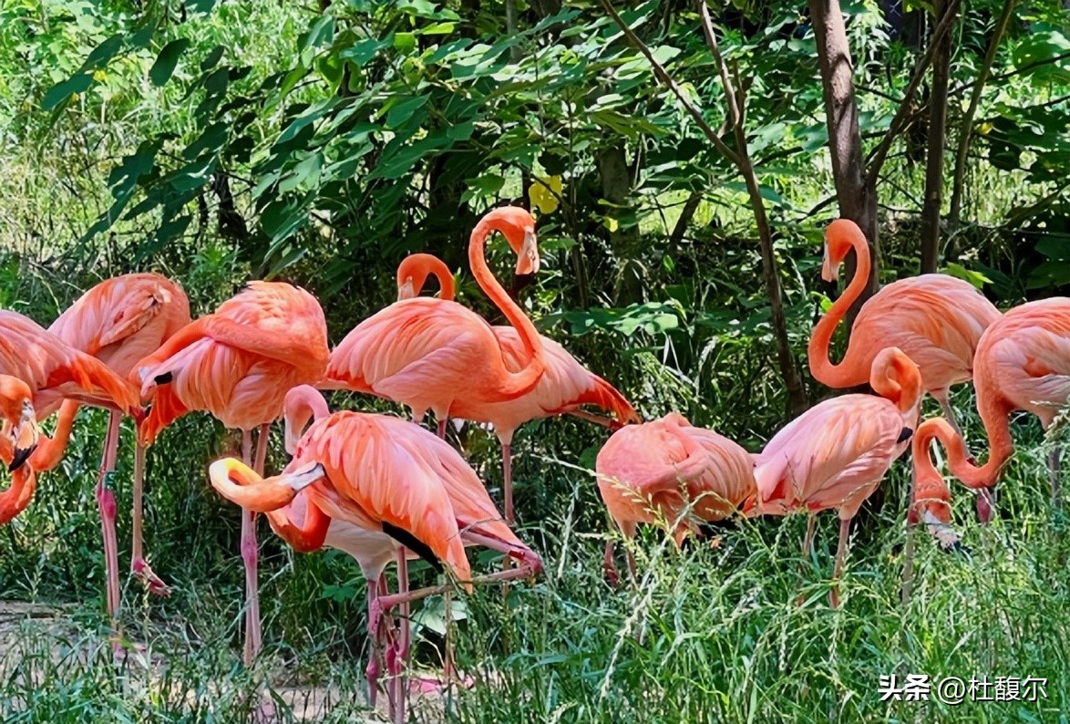 南京攻略2日游学生党,南京攻略2日游7月