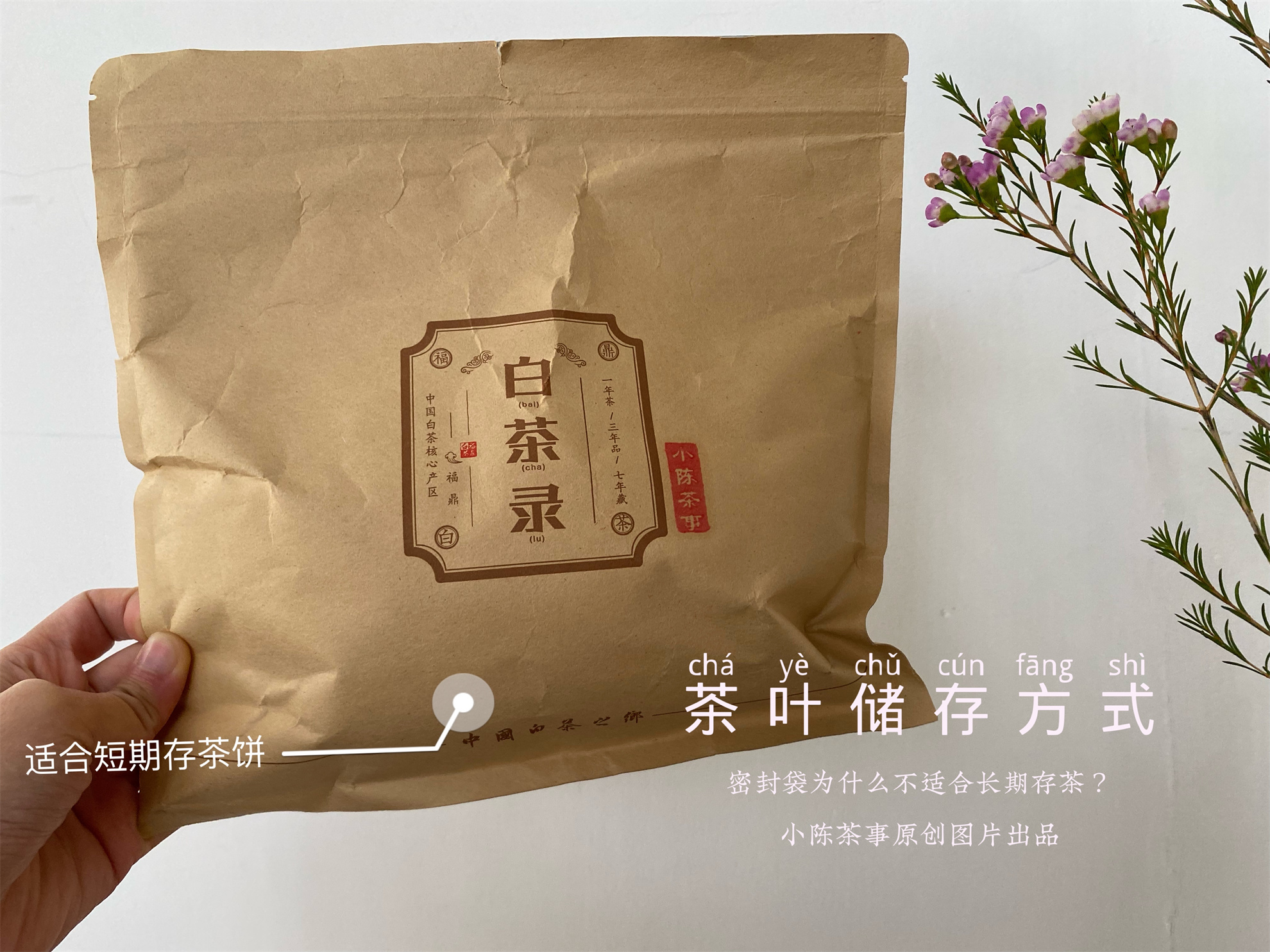 茶叶店存茶方法,教你七大茶系储存方法