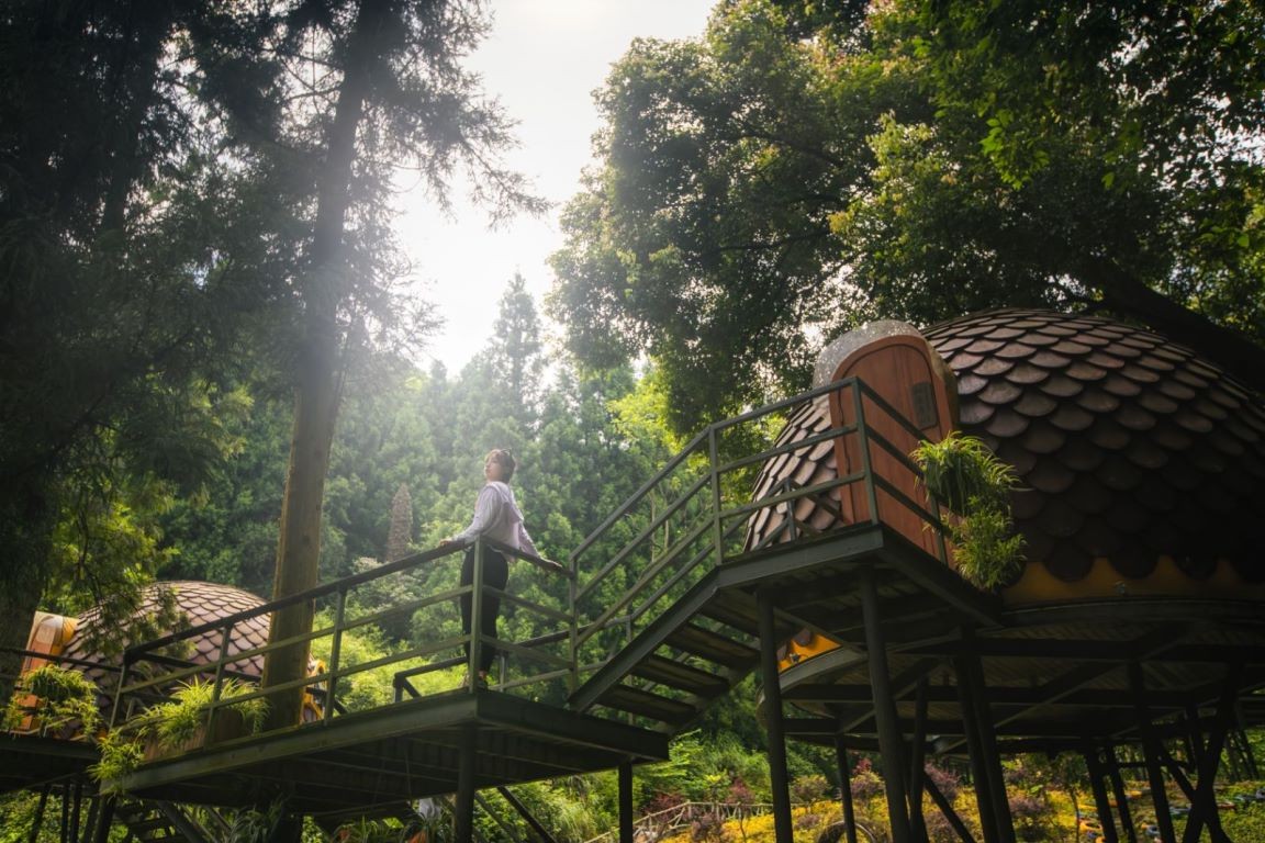 金佛山旅游体验,来金佛山体验清凉之旅