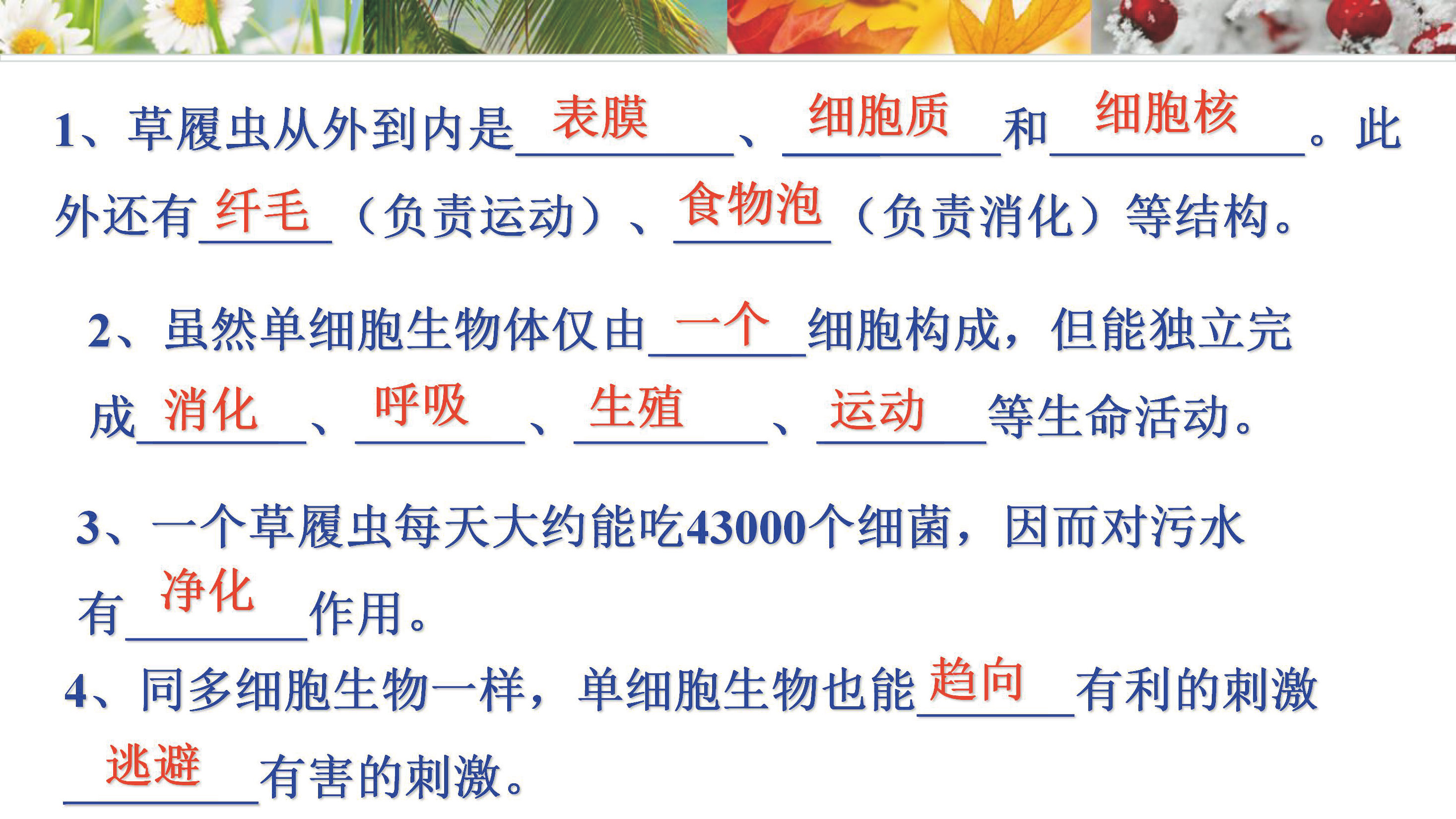 小升初一到六年级复习资料,小升初所有课本