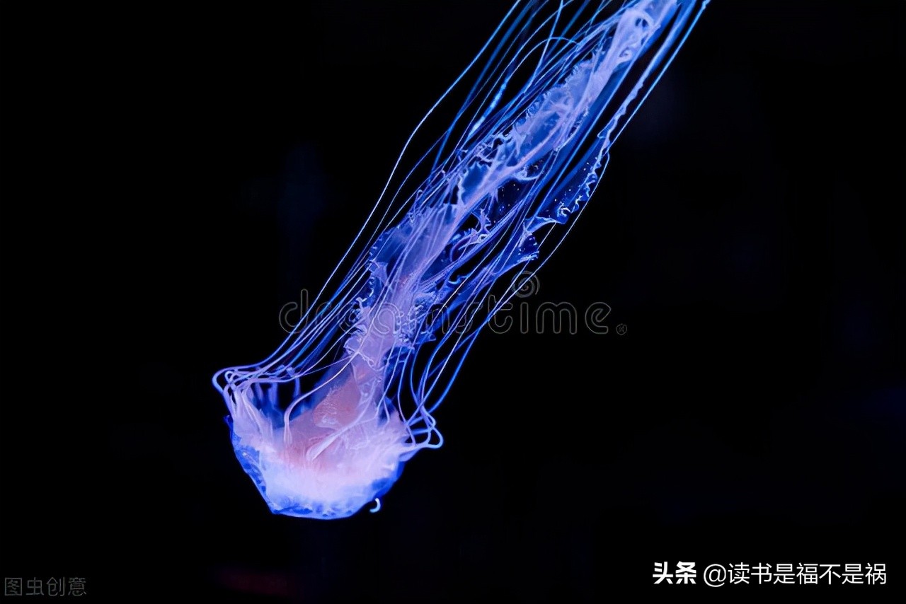 国学经典导读之礼记,国学经典之三国志导读第六十讲