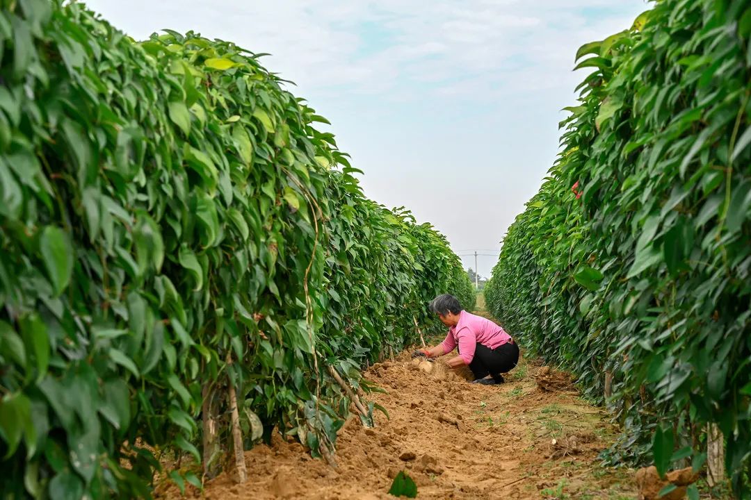 六一童真之旅,欢乐过六一儿童创意作品