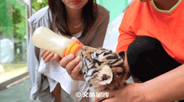 收藏附近吃喝玩乐,夏季长沙星沙吃喝玩乐攻略