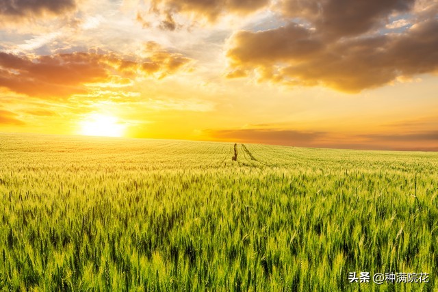 网络信息带来的利与弊,如何看待网络信息焦虑
