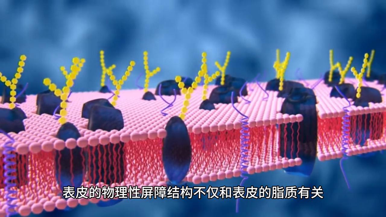 脸很干痒痒的红红的是什么原因,脸上老是红红不像普通人的皮肤