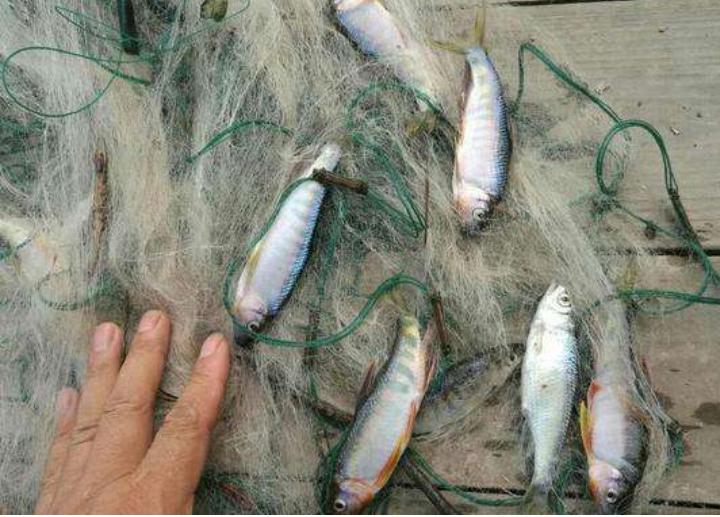 故乡的小桥风景,故乡的小桥