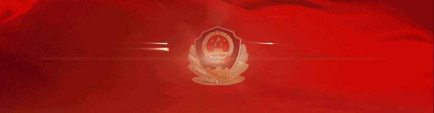 百日行动整治骗局,百日行动诈骗案多久结案