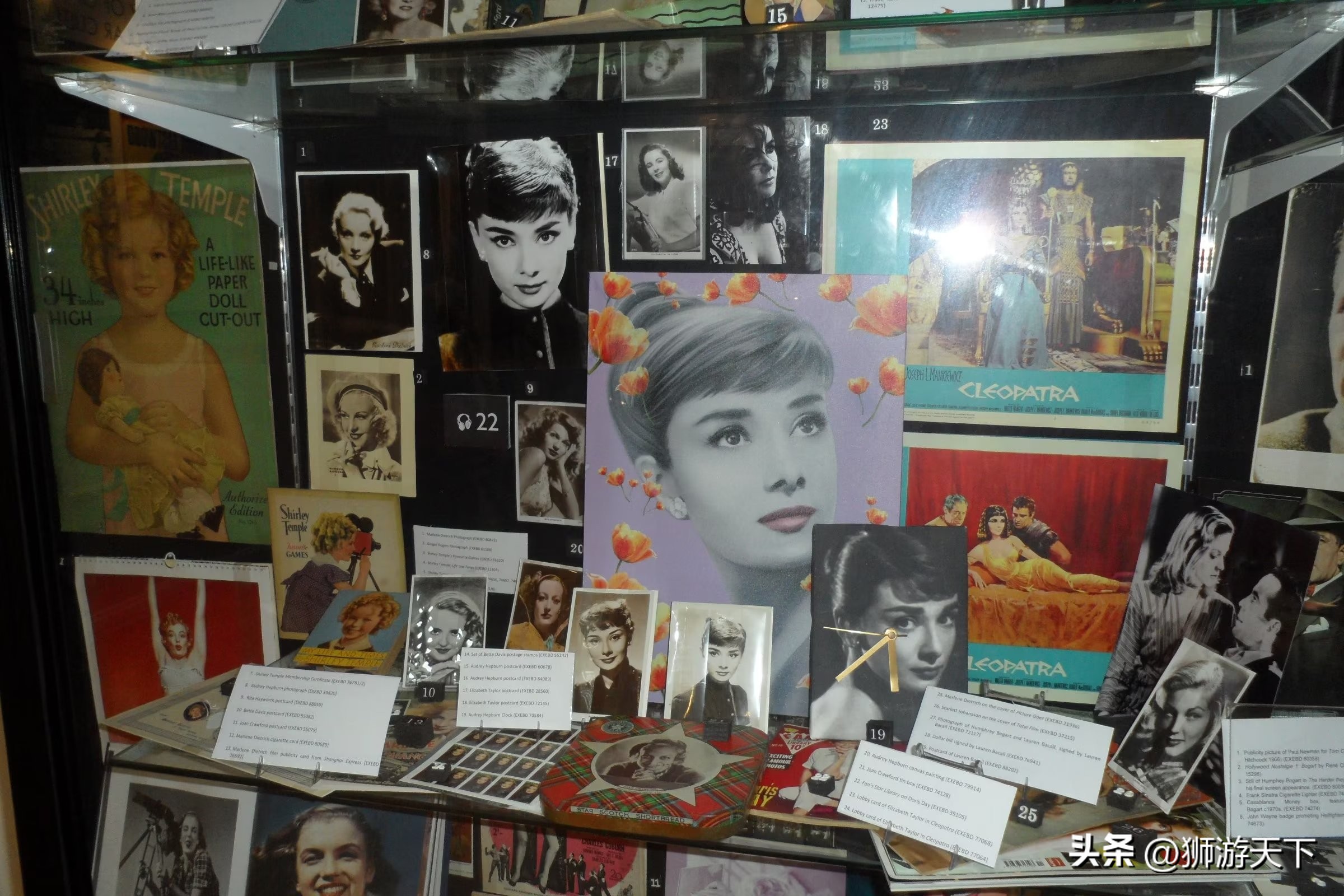 英国本科陪读,英国陪读住宿