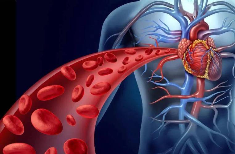 动脉瘤蛛网膜下腔出血术后并发症,动脉瘤导致蛛网膜下腔出血严重吗