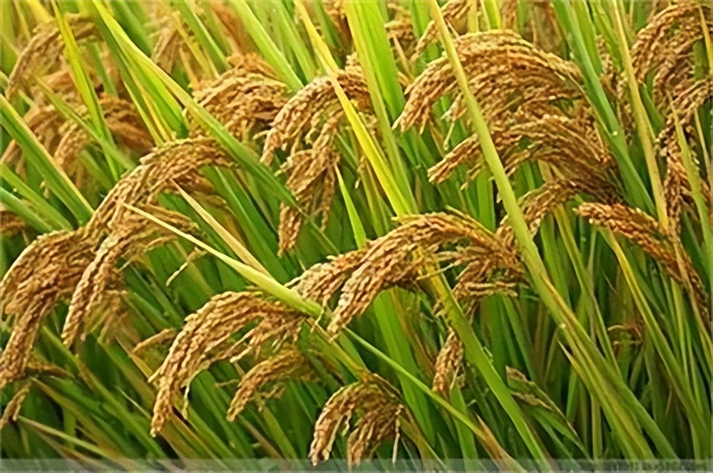 三皇五帝是史前时期还是史前文化,上古时期的三皇五帝讲解