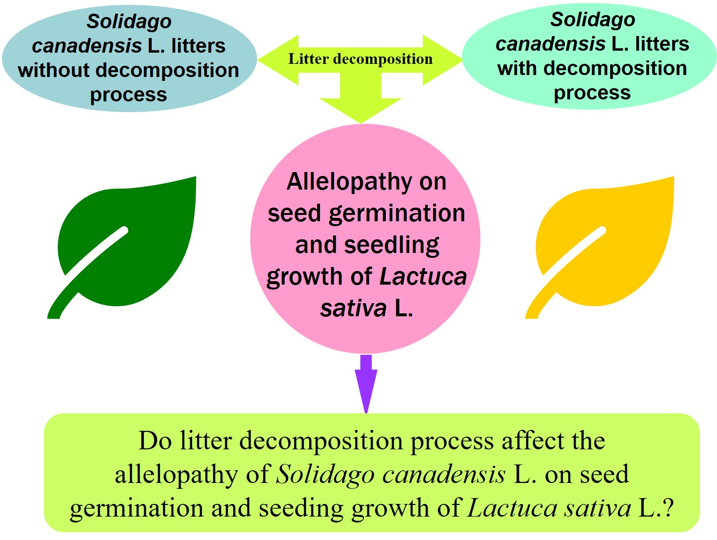 sci英语论文,医学sci论文撰写