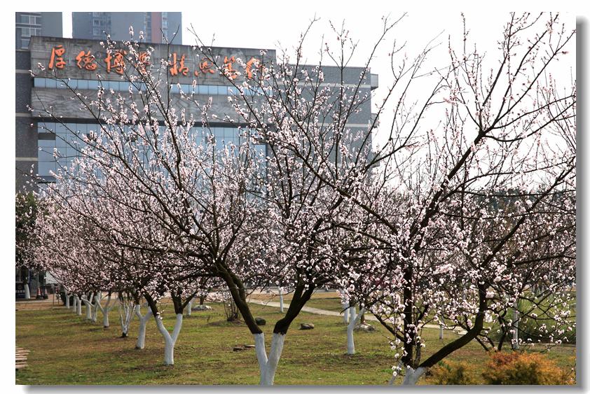 一起看校|成都中医药大学，它藏在天府之国