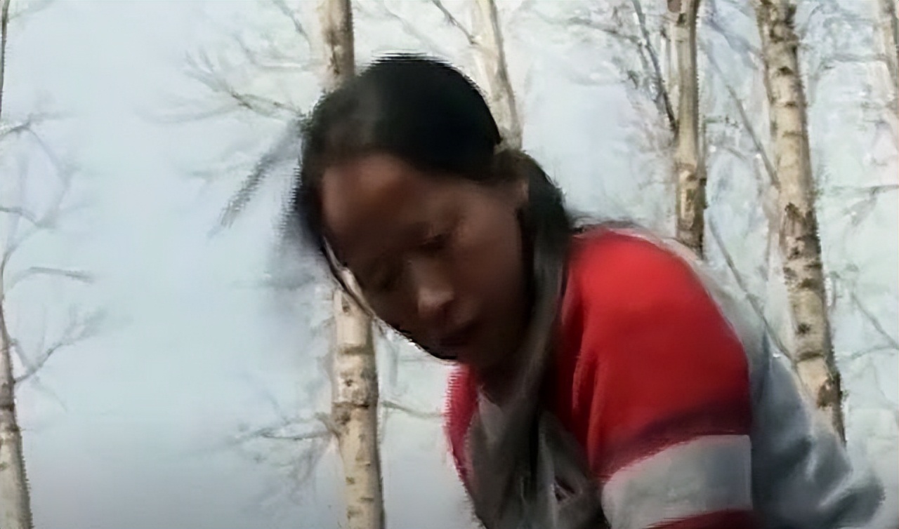 吉林农妇好心收养毒蛇,吉林农夫好心救了一条毒蛇