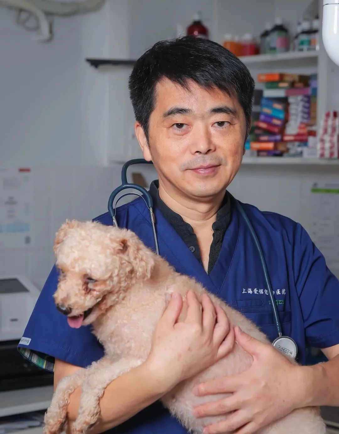 上海宠物医院杨其清,杨其清上海宠物行业协会会长