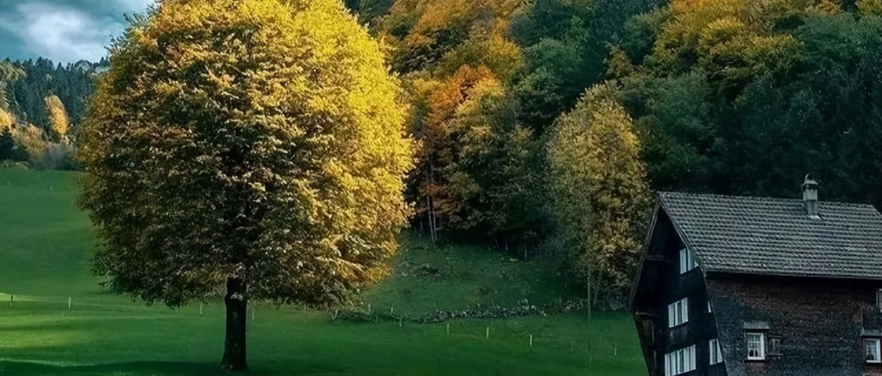 10万本金炒股每月稳定盈利5%,稳定理财年化收益5%