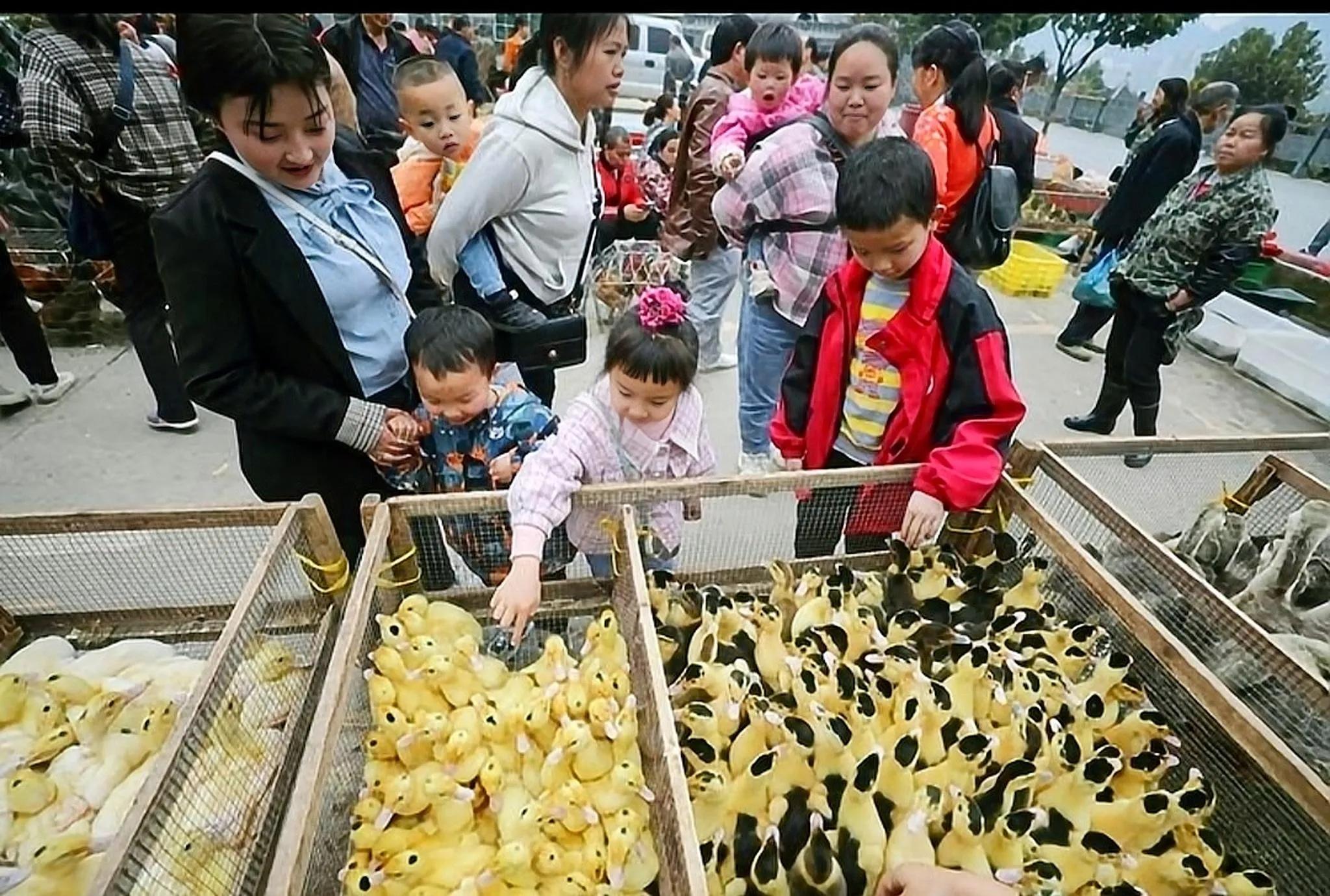 农村做啥生意顾家又赚钱,农村能做的生意赚钱项目