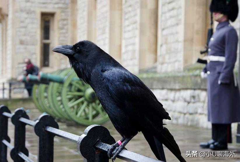 趣闻分享：了解伦敦|细数伦敦的15个冷知识