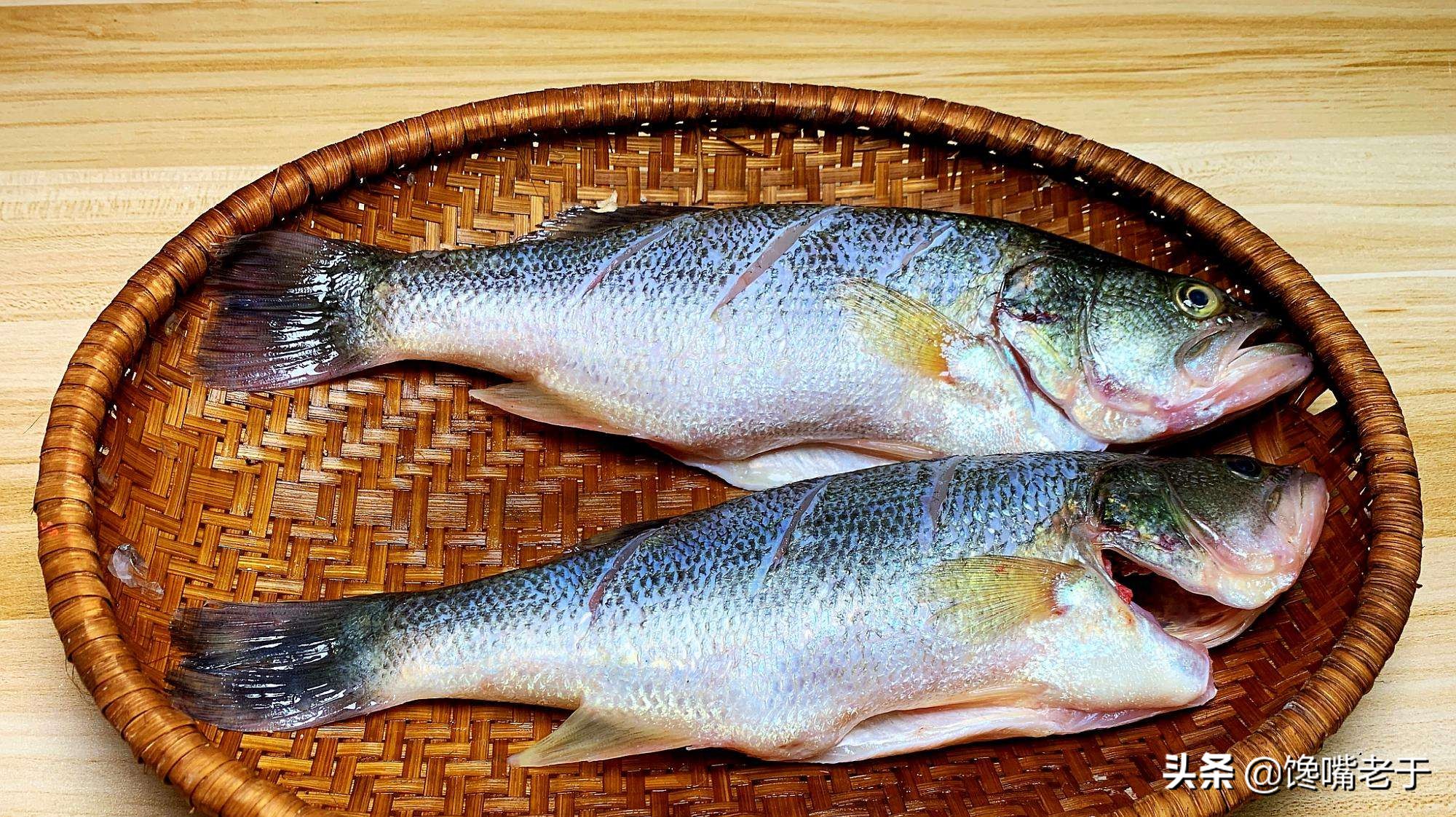 买鲈鱼公的好还是母的好,买鲈鱼大的好还是小一点的好