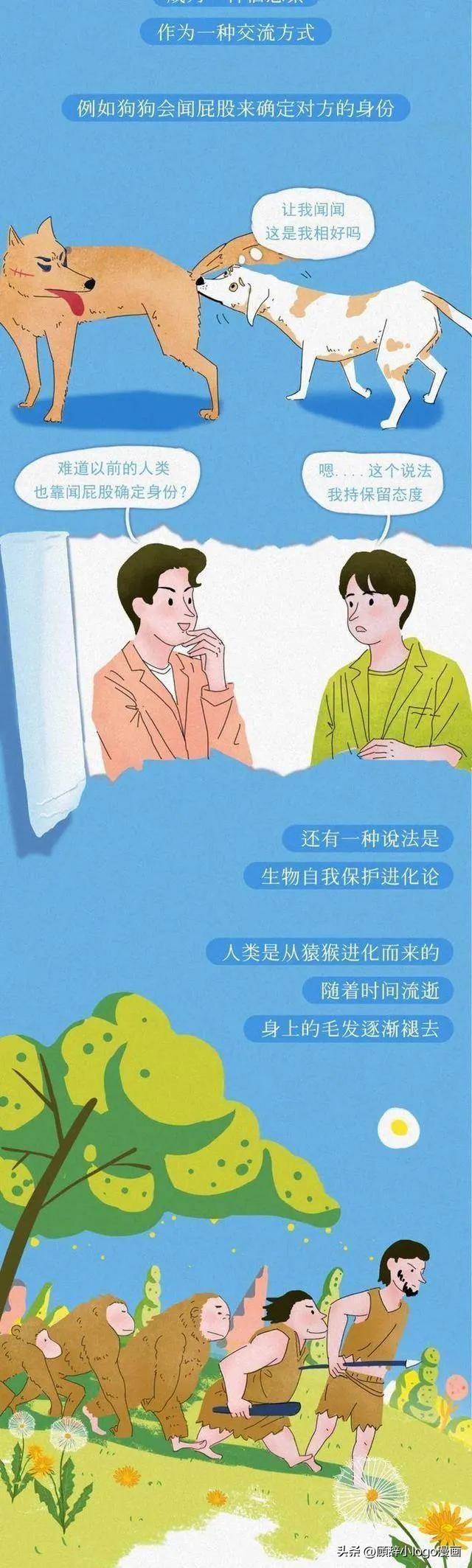 为什么肛门周围也会长“毛”？如果刮掉会怎样？（漫画）