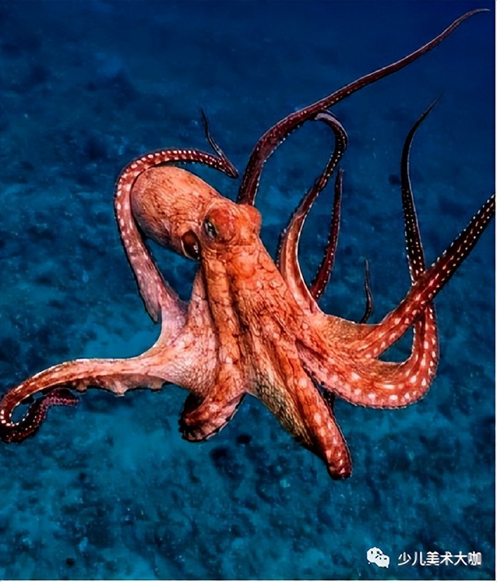 创意美术简单易学,创意美术幼儿