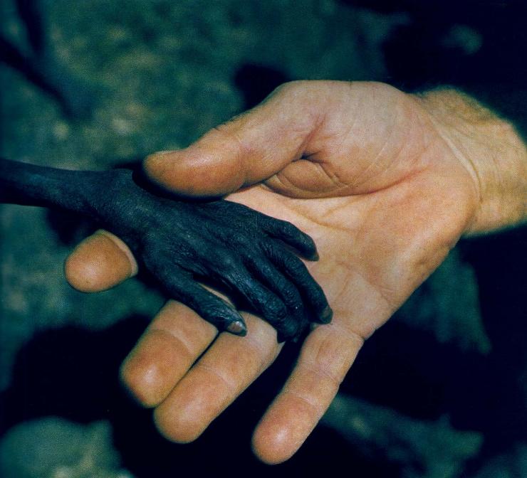 《Life》评选影响世界的100张照片PartIII-影像串联的民权运动