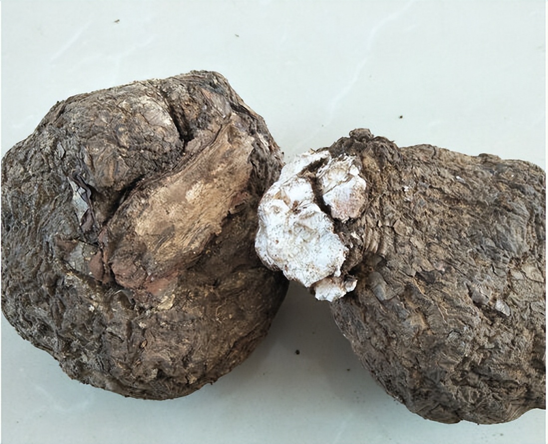 带你识别缅北电信诈骗的套路,带你识别新型毒品