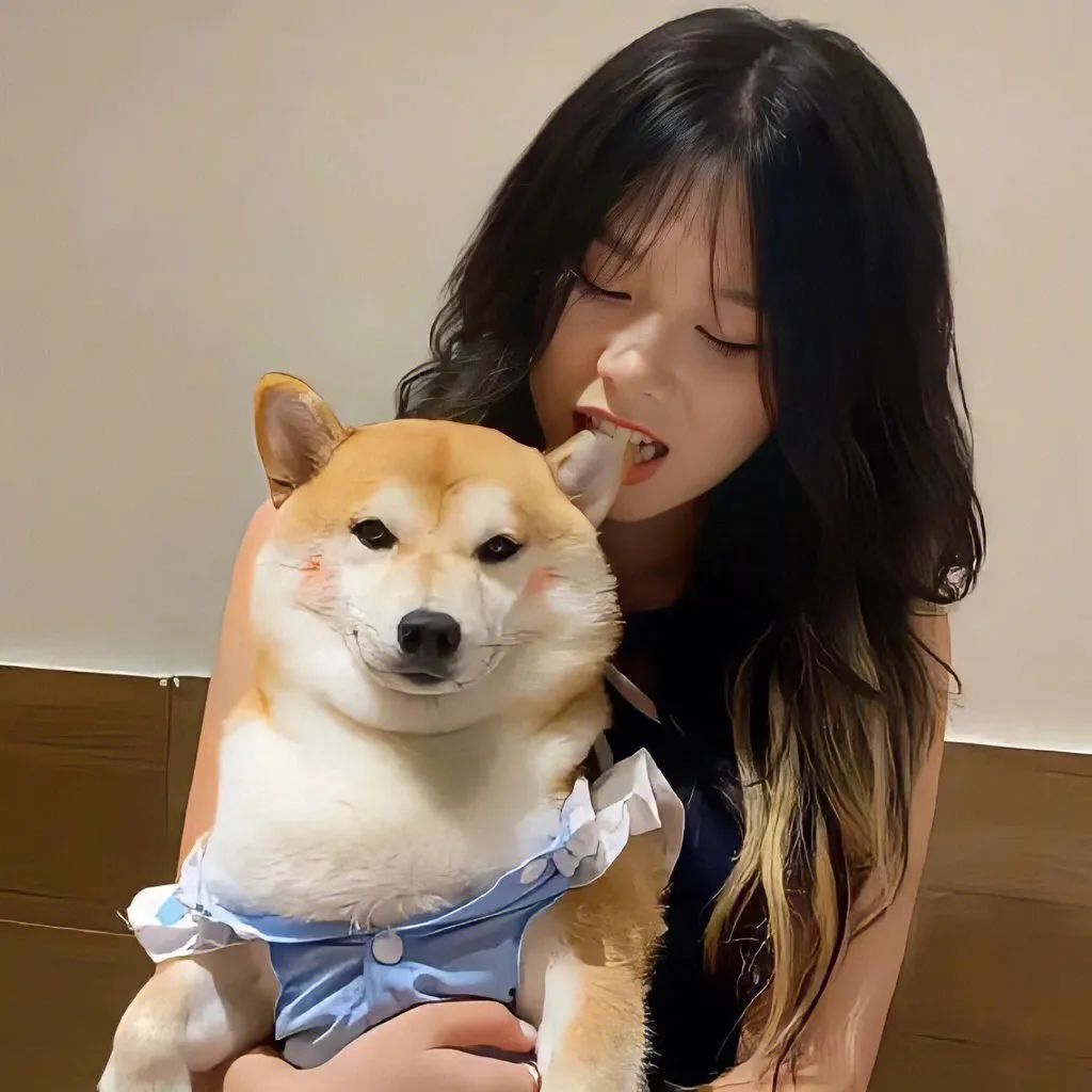 好看的情侣头像单个,好看的情侣头像大全超清