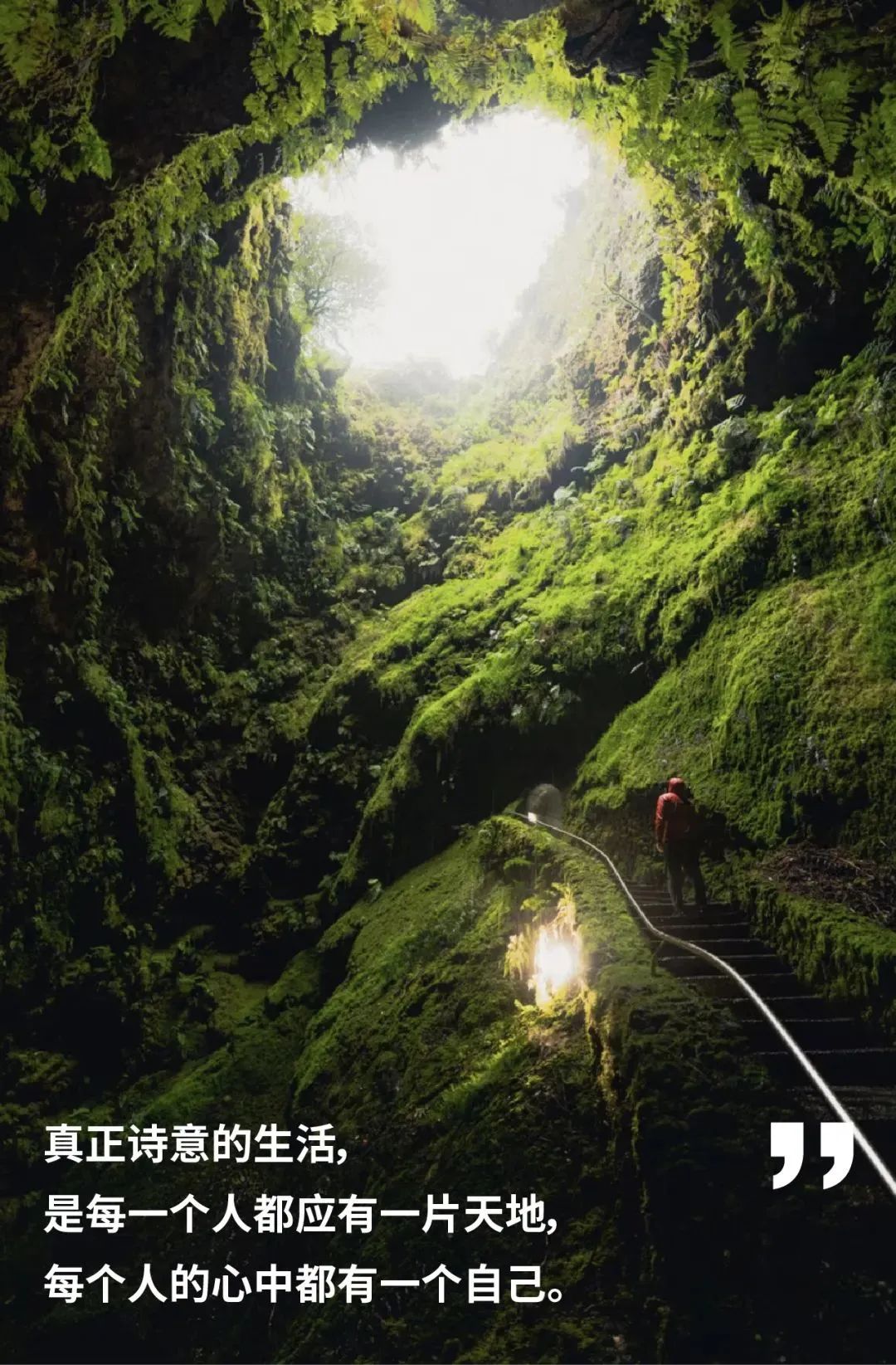 大道恒美×睿谷生态：大品牌战略，赋新生活方式营销