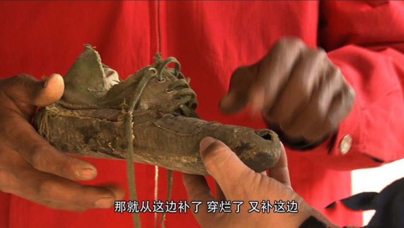 云南出现黑色怪羊,云南惊现怪羊