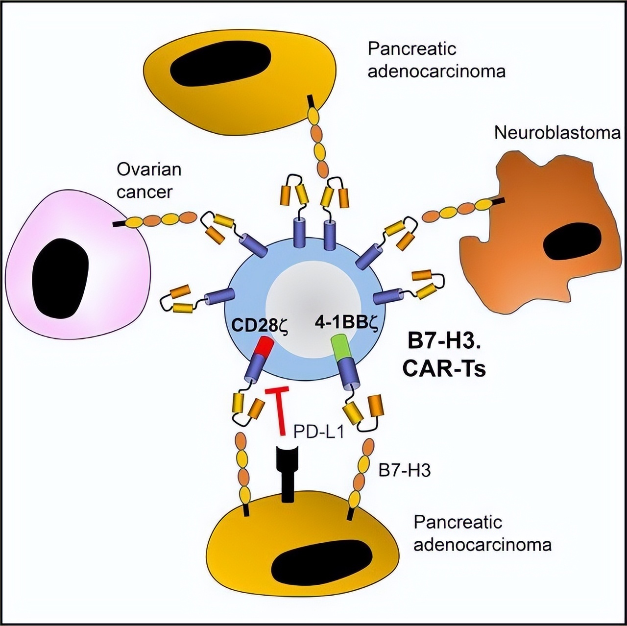 行研深度报告,行研报告范文