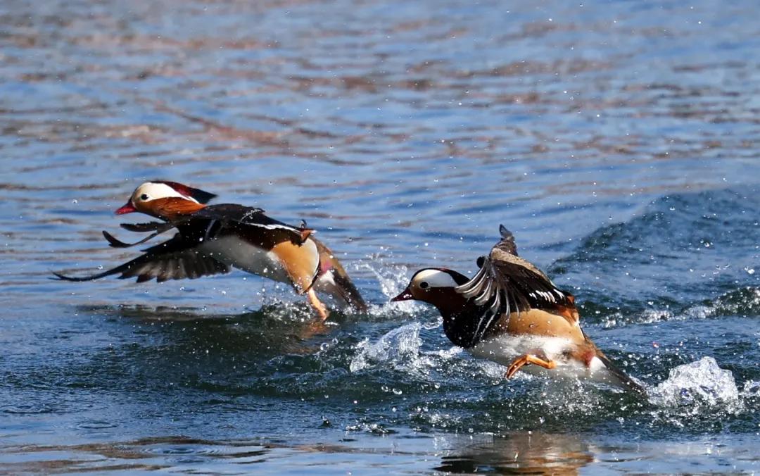 佳能eosr跟rp哪个好,佳能eosr3发布视频