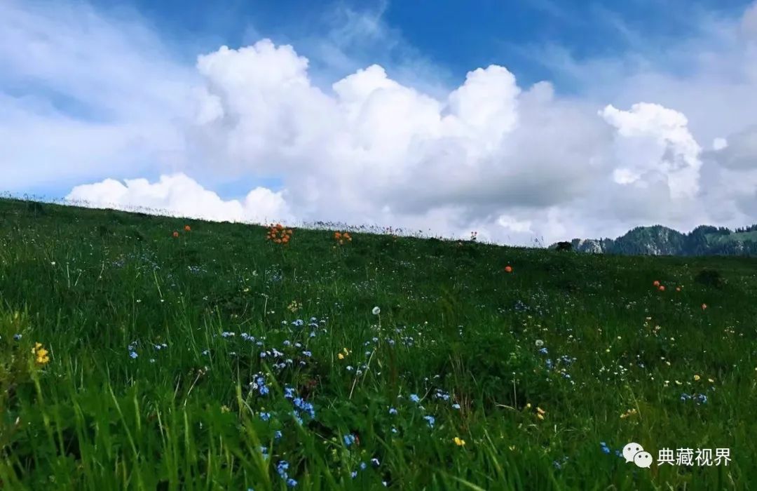 巴音布鲁克的草原图 (巴音布鲁克的金色草原)