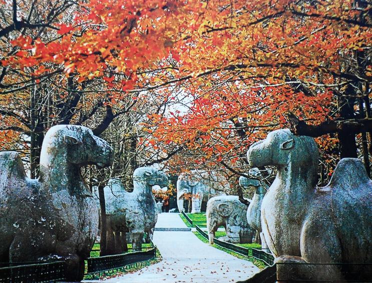 旅游江苏最值得去的地方,江苏有哪些值得旅游的地方和景点