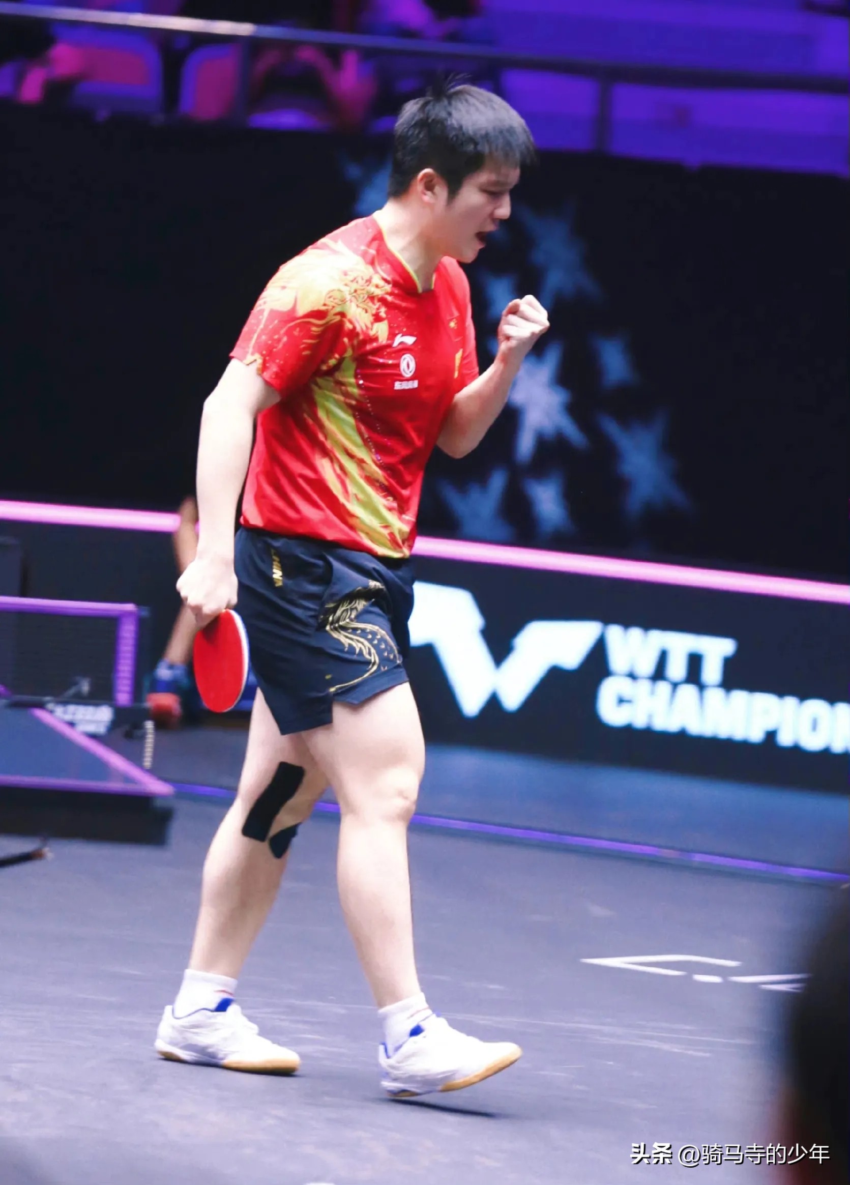 东京奥运会樊振东王楚钦采访,巴黎奥运会樊振东王楚钦马龙