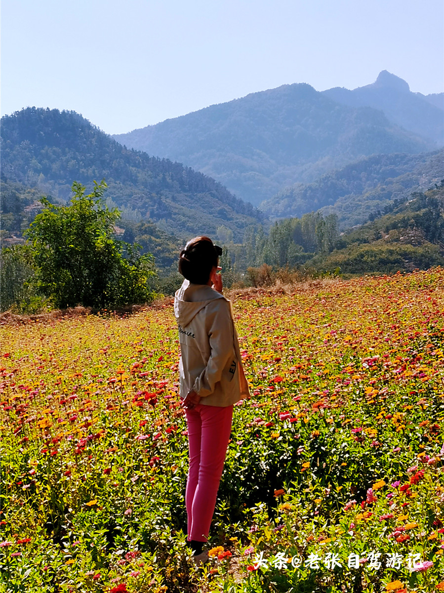 山东最低调5a旅游景区,山东旅游最值得去的十个景点排名
