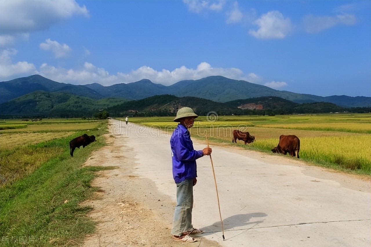 荷兰78岁老人杰克寻亲完整版,荷兰老人跨国寻亲亲人痛哭
