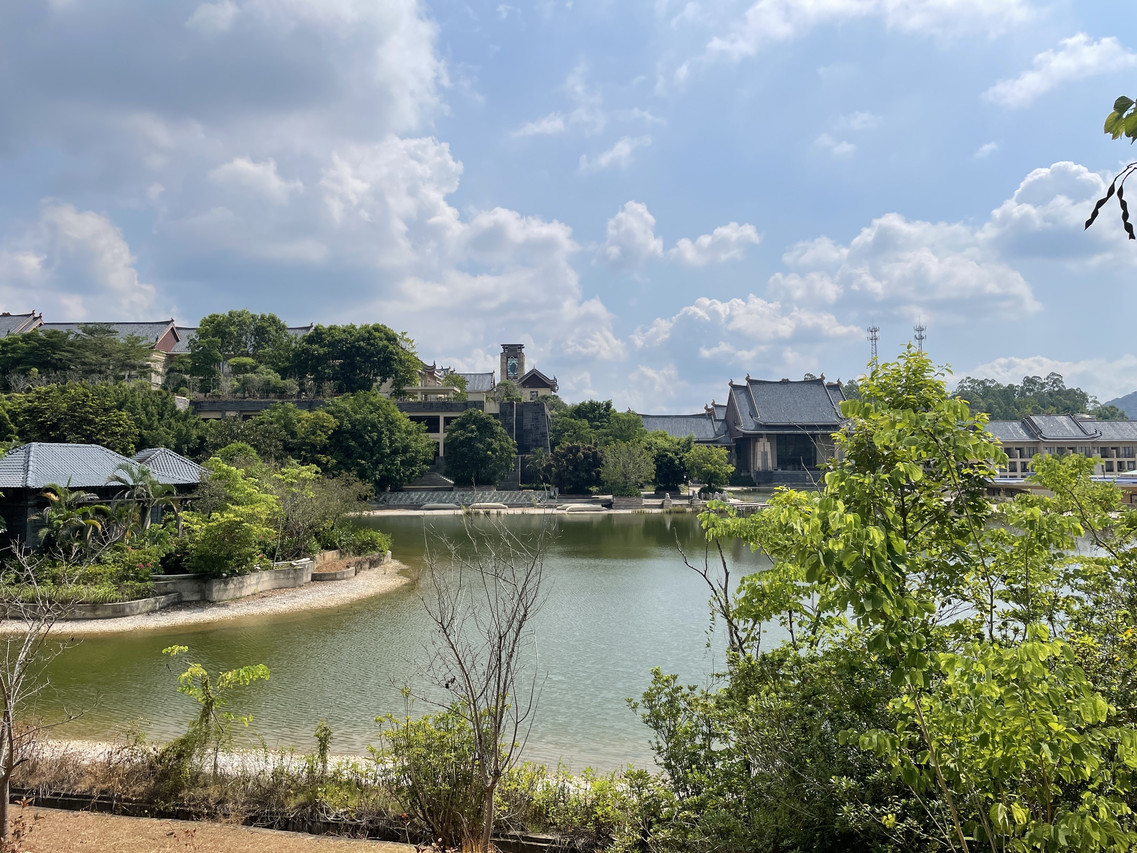 惠州森林中的秘境酒店,惠州森林秘境