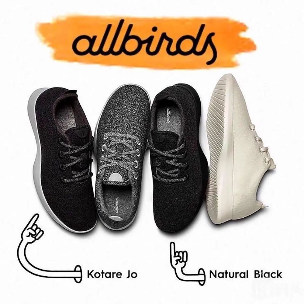 品牌市值逾41亿美元——深入剖析AllbirdsSEO和广告的过人之处