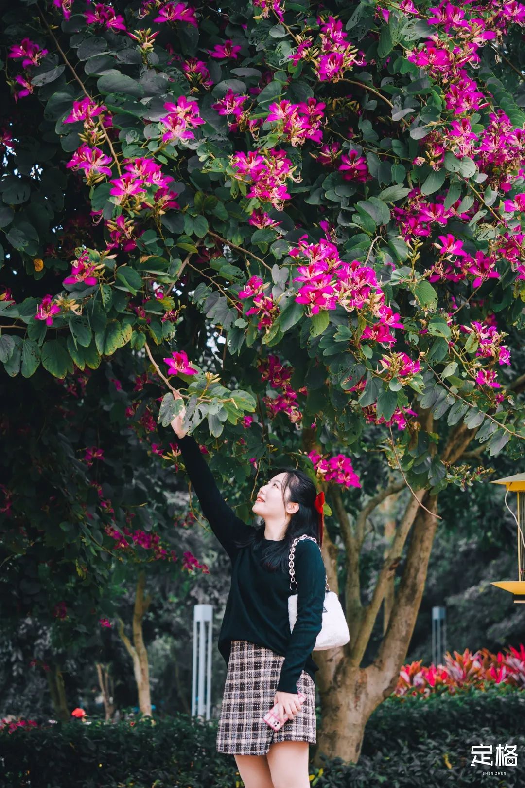 凤凰山绿道开放时间,凤凰山绿道全长多少公里