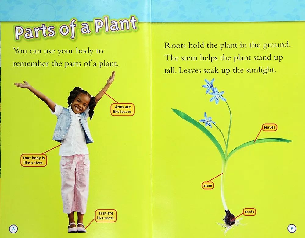 英语分级读物排行榜前十名,金魔方英语分级读物