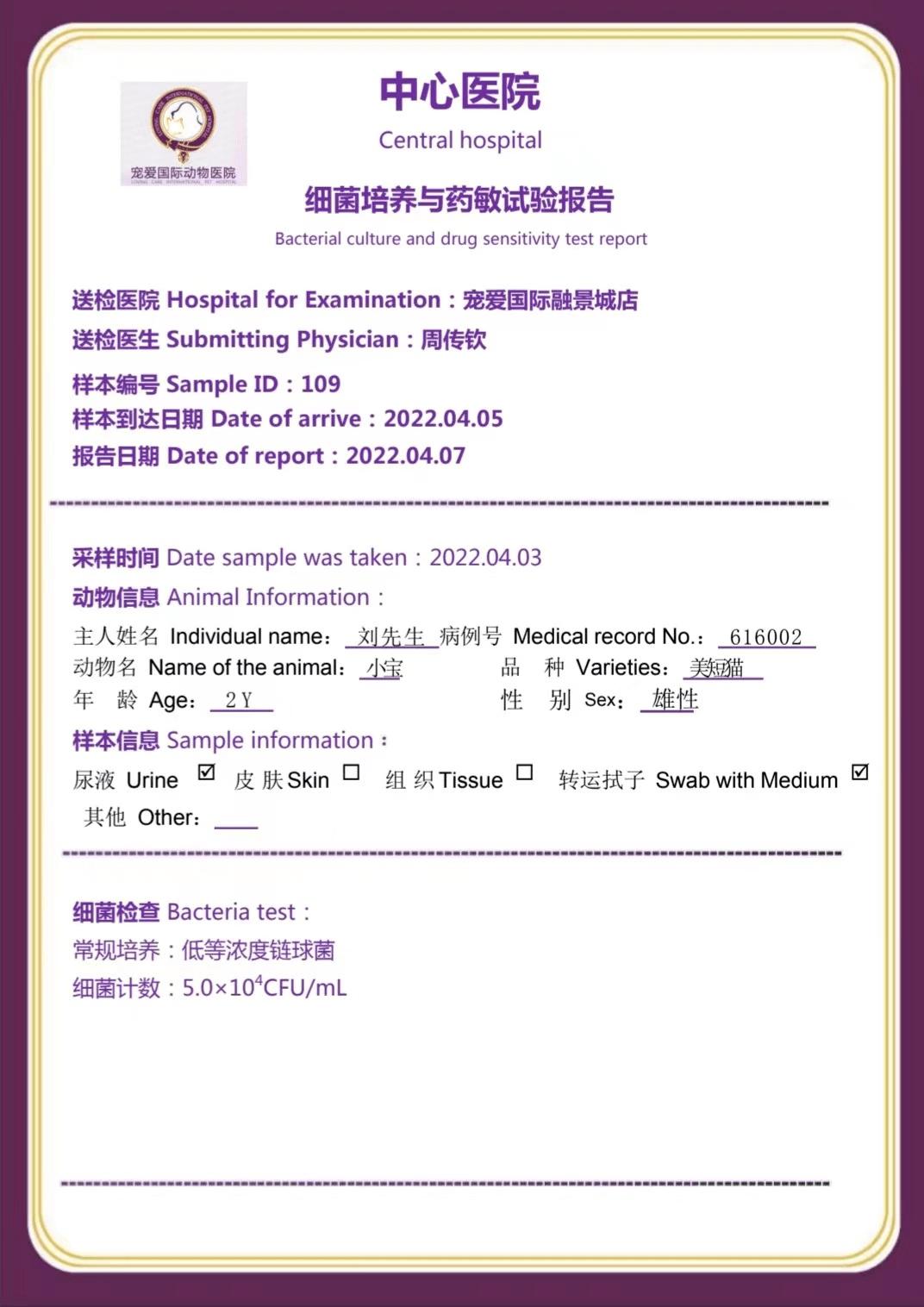 铲屎官有哪些难题,猫咪尿路感染缓解猫咪的小妙招