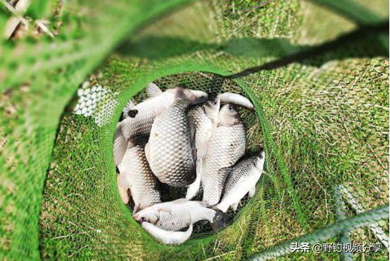 六月份钓鱼的好钓法,钓鱼口诀7浅7深文字版